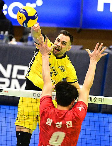 KB손해보험 안드레스 비예나의 스파이크[한국배구연맹 제공. 재판매 및 DB 금지] photo@yna.co.kr