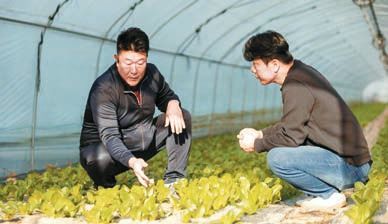 더자연처럼 엄태희 대표(오른쪽)가 계약 재배 농가 관계자와 품질 향상에 대해 논의하고 있다.