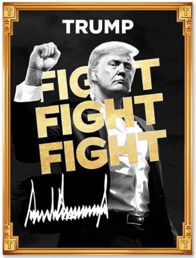 트럼프 밈코인 로고. 출처 트럼프 트루스소셜