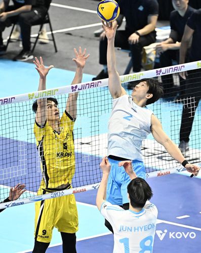 토스하는 대한항공의 한선수(중앙 2번)[한국배구연맹 제공. 재판매 및 DB 금지]