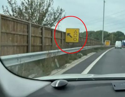 [사진 제공 = 래드바이블(LADbible) 트위터 캡처]