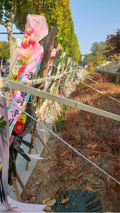 보수 시민단체인 자유연대가 윤석열 응원 화환을 각목과 줄로 고정해 관리하고 있다. [박윤예 기자]