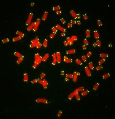 사진=아시아경제DB