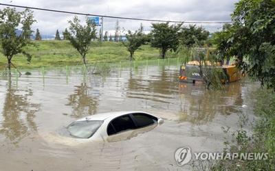 낙동강 하류 부산 생태공원 물에 잠겨…차량 50대 침수 : ZUM 뉴스