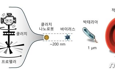 It circulates throughout the body and attacks only cancer cells … ‘Nanorobot’ becomes a doctor[미래on] : ZUM News