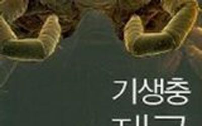 상상력