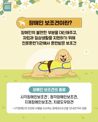 장애인 보조견 홍보문[대전시 제공. 재판매 및 DB 금지]
