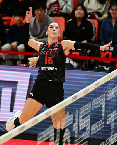 페퍼저축은행에서 뛰었던 자비치[한국배구연맹 제공. 재판매 및 DB 금지]