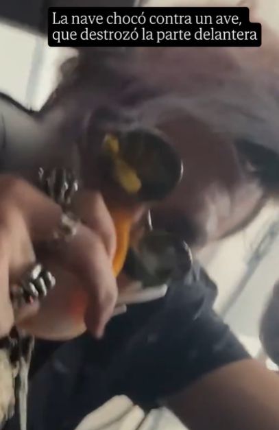 [출처=인스타그램 @elmundo_es]