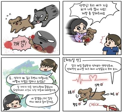 만화로 보는 반려동물 창상 치료 발췌 (대한수의사회 제공) ⓒ 뉴스1