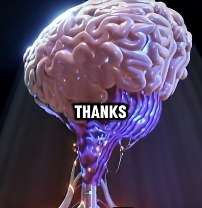 24시간 단식하는 동안 몸 속에서 일어나는 일을 시각화한 영상이 화제다. 유튜브 채널 ‘GrowFit Health’ 영상 캡처