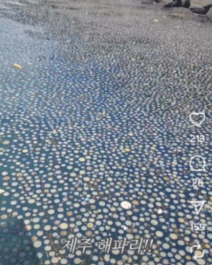 지난 27일 제주시 구좌읍 김녕항. 인스타 @ksm3380 제공