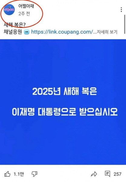 (사진 = ‘어쩔아재’ 유튜버 채널 화면 갈무리, 국민의힘 미디어특별위원회 배포)