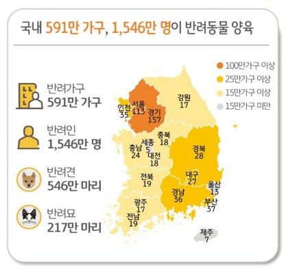 한국 반려동물 현황 [KB금융지주 경영연구소 제공]