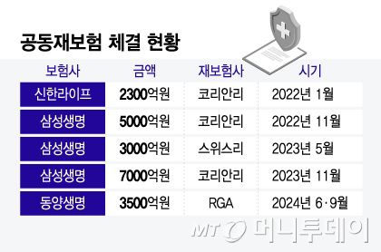 공동재보험 체결 현황/그래픽=윤선정