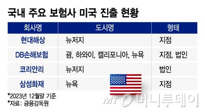 국내 주요 보험사 미국 진출 현황/그래픽=이지혜