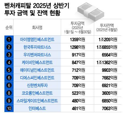 2025년 상반기 VC 투자금액 순위 /그래픽=이지혜
