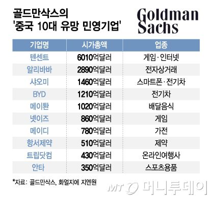골드만삭스의 '중국 10대 유망 민영기업'/그래픽=김지영