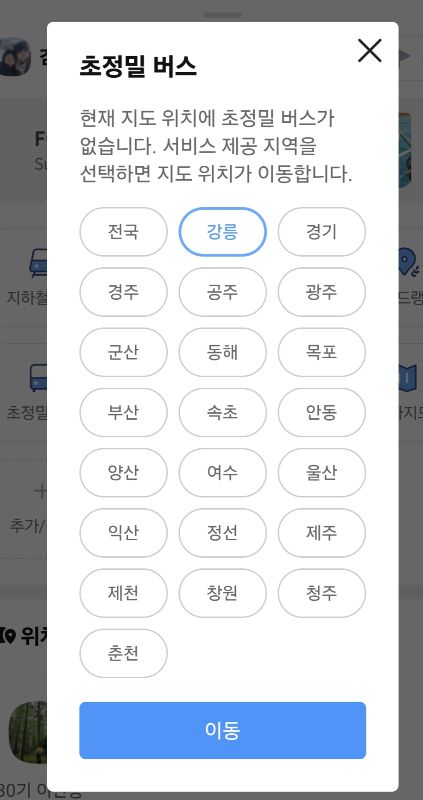 지방에서 운영 중인 초정밀 버스정보/사진=카카오맵 캡처