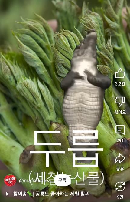 두릅 소개 영상[농식품부 유튜브 채널 화면 캡처. 재판매 및 DB금지]