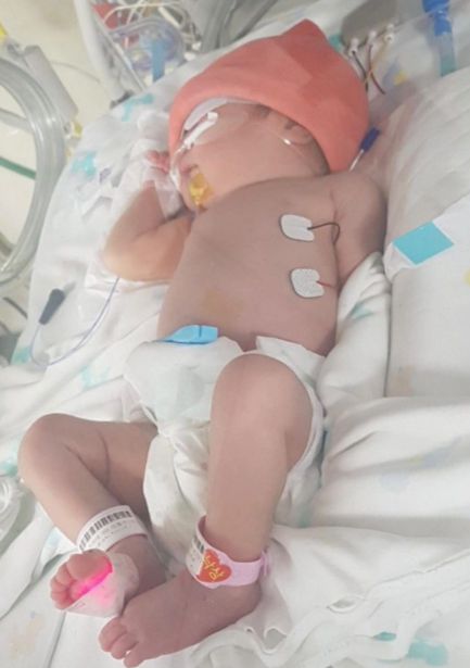 밤이 깊으면 새벽이 가까운 거라지요. 이 작은 생명, 소예가 건강해질 수 있도록 많은 응원을./사진=독자님 제공