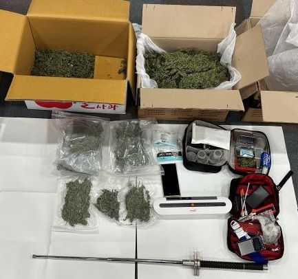 피의자들이 대마를 재배한 강원도 소재 비닐하우스 내부. 사진 서울경찰청