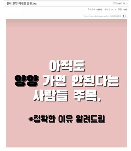 커뮤니티에 올라온 양양 관련 글[독자 제공. 재판매 및 DB 금지]