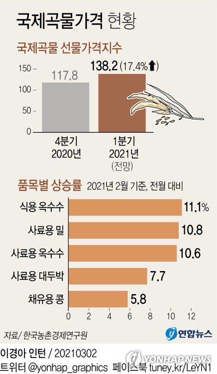 [그래픽] 국제곡물가격 현황(서울=연합뉴스) 김영은 기자 = 0eun@yna.co.kr
    트위터 @yonhap_graphics  페이스북 tuney.kr/LeYN1