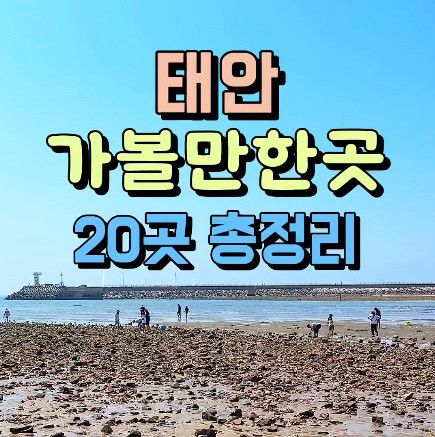 “태안의 매력 알린다!” ‘숏폼영상 공모전’ 개최(태안군)