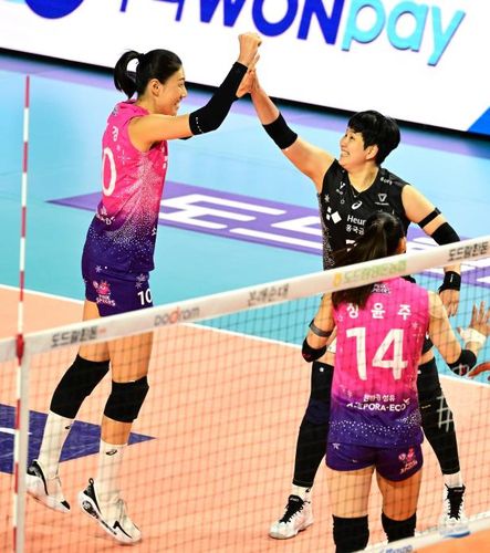 하이파이브 하는 김연경(왼쪽)[한국배구연맹 제공. 재배포 및 DB 금지]