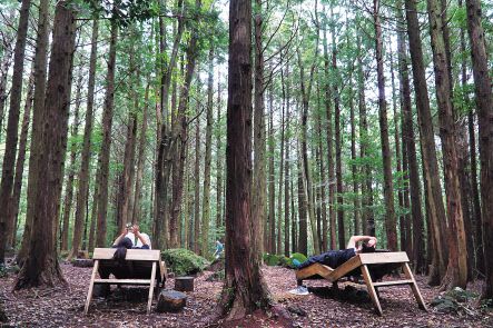 서귀포 치유의숲 ‘숲멍’쉼팡