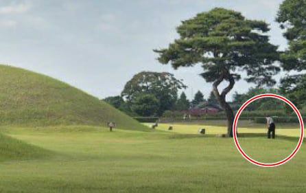 경북 경주 교동의 내물왕릉 인근에서 한 남성이 골프 연습을 하는 장면이 외국인 관광객에 의해 포착됐다. /JTBC