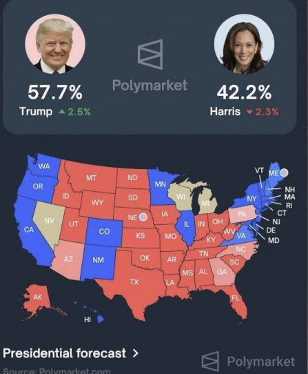 베팅 플랫폼 폴리 마켓의 2024년 미 대선 예측 당시 화면. 폴리마켓