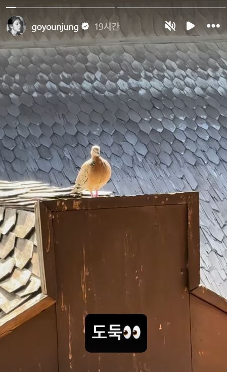 사진= 고윤정 SNS