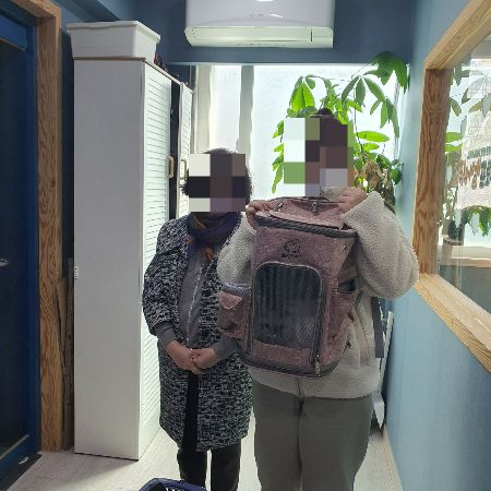 팅커벨프로젝트를 찾아, 두부와 흰둥이를 데려가는 시내씨(오른쪽)와 그의 모친./사진=팅커벨프로젝트