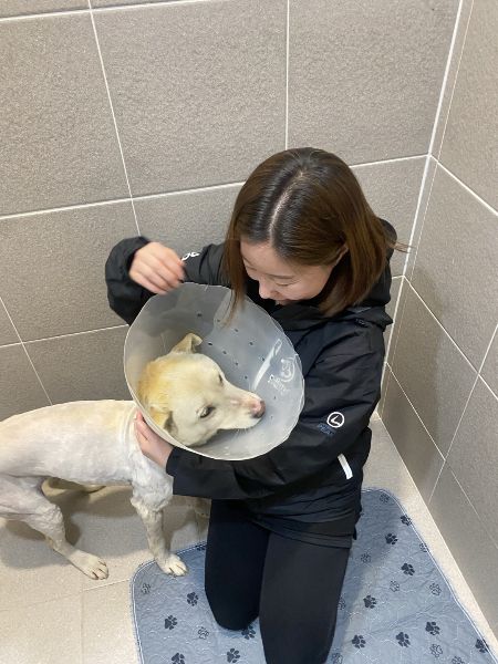 산불 현장을 동분서주 누비며, 죽거나 다친 동물들을 찾아다니던 이효정 도로시지켜줄개 대표. 새벽에 일어나면 억지로라도 열심히 밥을 먹었다고 했다. 그만큼 고된 시간이었다./사진=남형도 기자