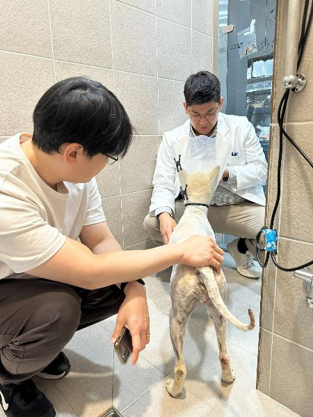 대추를 만나러 간 기자(왼쪽)와 최중연 SNC동물메디컬센터 수의사(오른쪽). 그리고 자길 치료해 준 이를 바라보는 대추./사진=이효정 도로시지켜줄개 대표