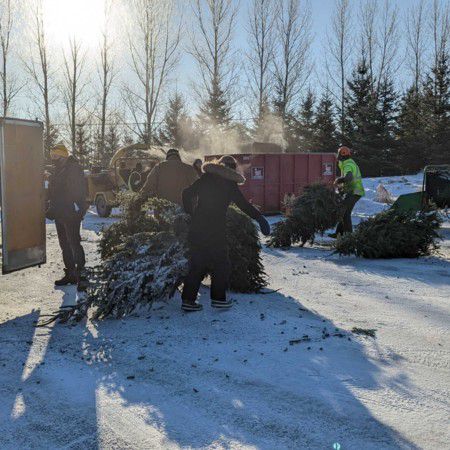 지역 어린이 지원을 위한 기금을 모으기 위해 크리스마스 트리를 수거하는 'Trees for Tots' 프로그램 모습. 2025.01.08/<출처: Trees for Tots홈페이지>