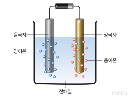 출처=네이버 지식백과