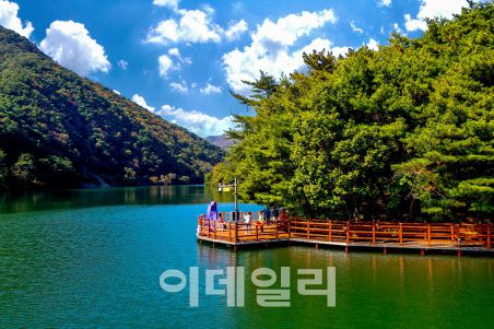 충북 제천 의림지한방치유숲길. (사진=산림청 제공)