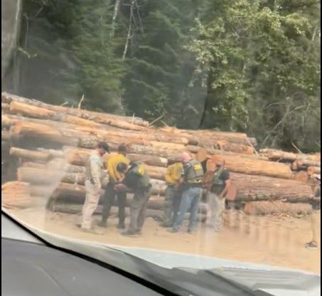 지난 27일 미국에서 계약직 소방관 체포 당시 모습. [사진 = SNS 틱톡 영상 캡처]