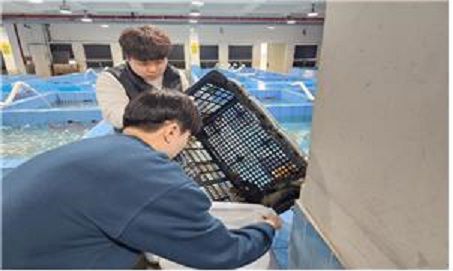 생산단계 수산물 방사능조사 시료 수거 [사진 제공=인천시]