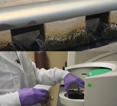 생활 폐수 샘플을 유전자 분석해 바이러스 분포도를 알아낼 수 있다. 미 PBS 뉴스 유튜브 캡처