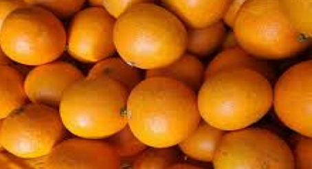 [쿠팡 블프할인] 25년 첫출하! 가정용 제주밀감 노지감귤 1박스 10kg