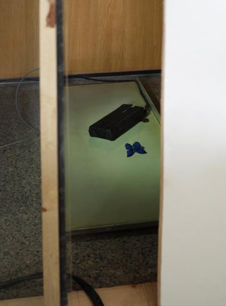 홍애린, <뮤직 사이렌(Music Siren)>, 2026, 가변 크기, 병 속의 나비 장난감, 피아노 모듈 시스템, [사진=이의록]