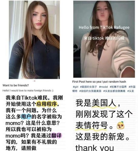 샤오훙수의 '틱톡 난민'[중국 시나닷컴 캡처. 재판매 및 DB 금지]