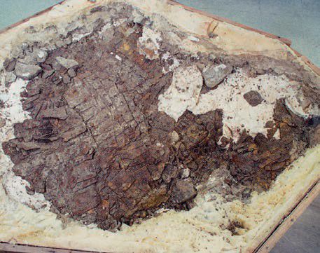 보존처리 전 모습 2022년 발간된 '함안 말이산 8호분 말 갑옷' 보고서에 실린 사진 [국립가야문화유산연구소 제공. 재판매 및 DB 금지]