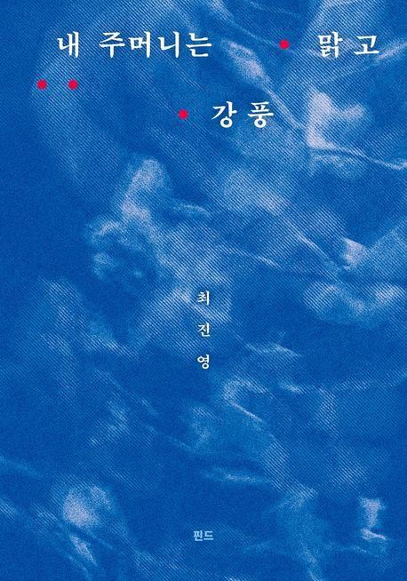 최진영 '내 주머니는 맑고 강풍'