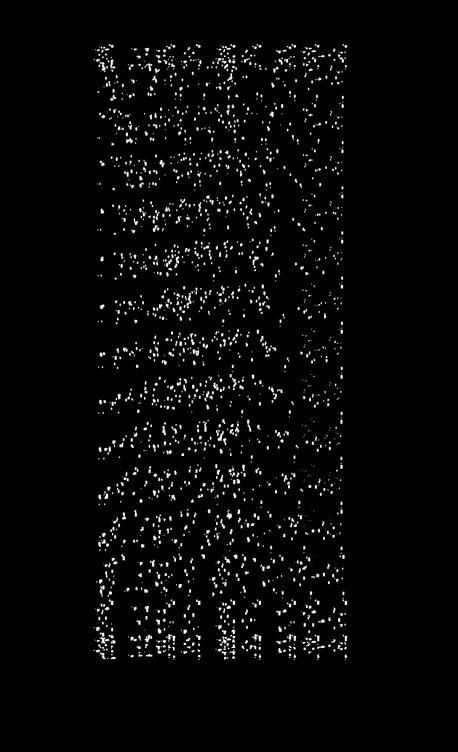 흰 고래의 흼에 대하여·홍한별 지음·위고 발행·272쪽·2만원