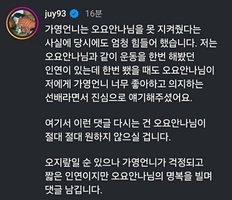 일주어터가 논란 당시 남겼던 댓글. /인스타그램